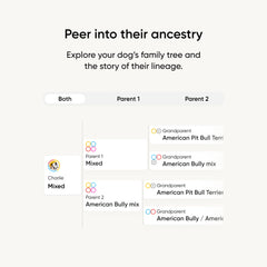 Embark personnalite-quiz-resultats: quiz de personnalite révélant les instincts du chien