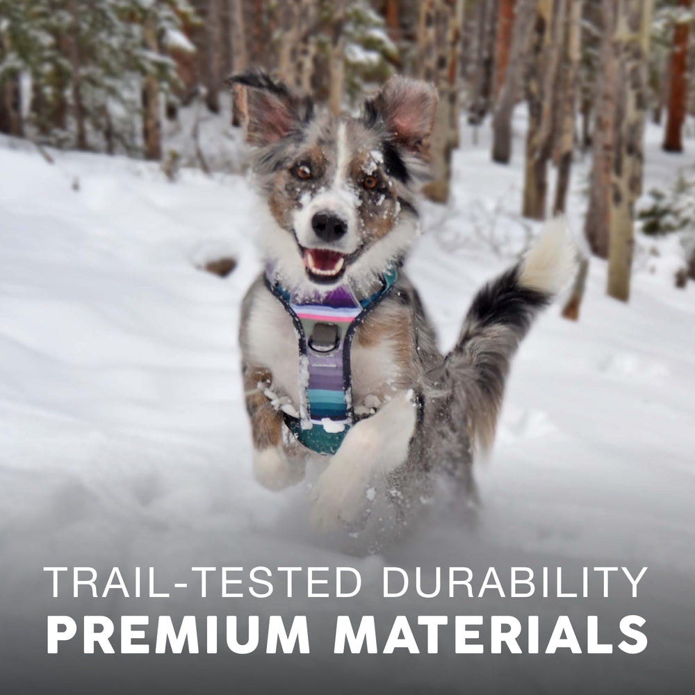 Nylon militaire Embark Adventure – résistance élevée pour les chiens actifs.