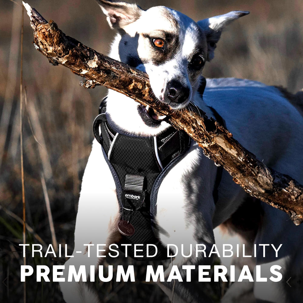 Rembourrage doux Embark Pets protège le torse et évite les frottements.