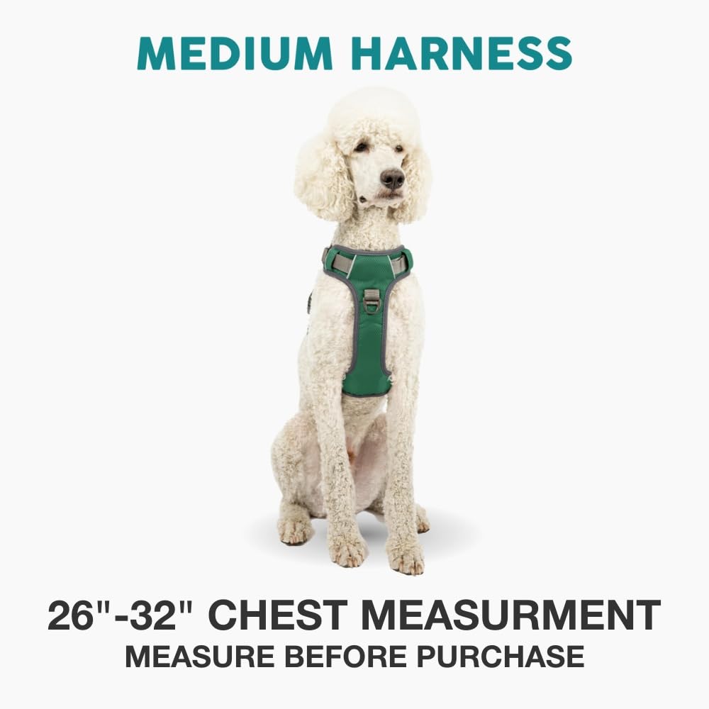 Rembourrage doux Embark — port agréable sans frottement lors des promenades.