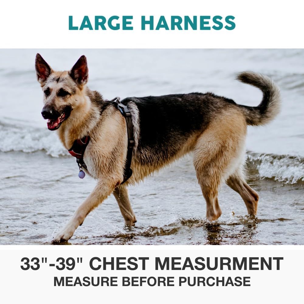 Bordure réfléchissante à 360° Embark Pets pour meilleure visibilité nocturne