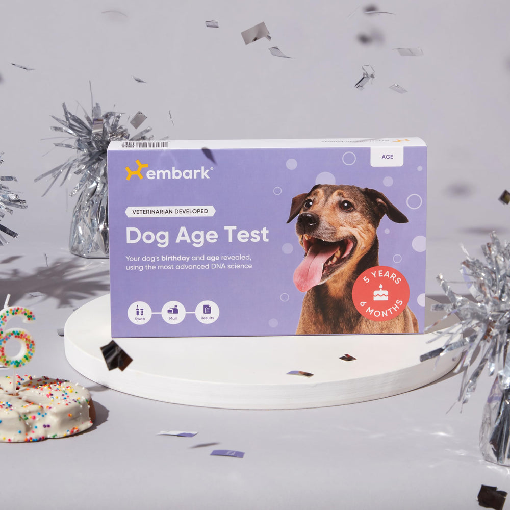 Embark contribution à la recherche: participation utile à l’étude du vieillissement canin.