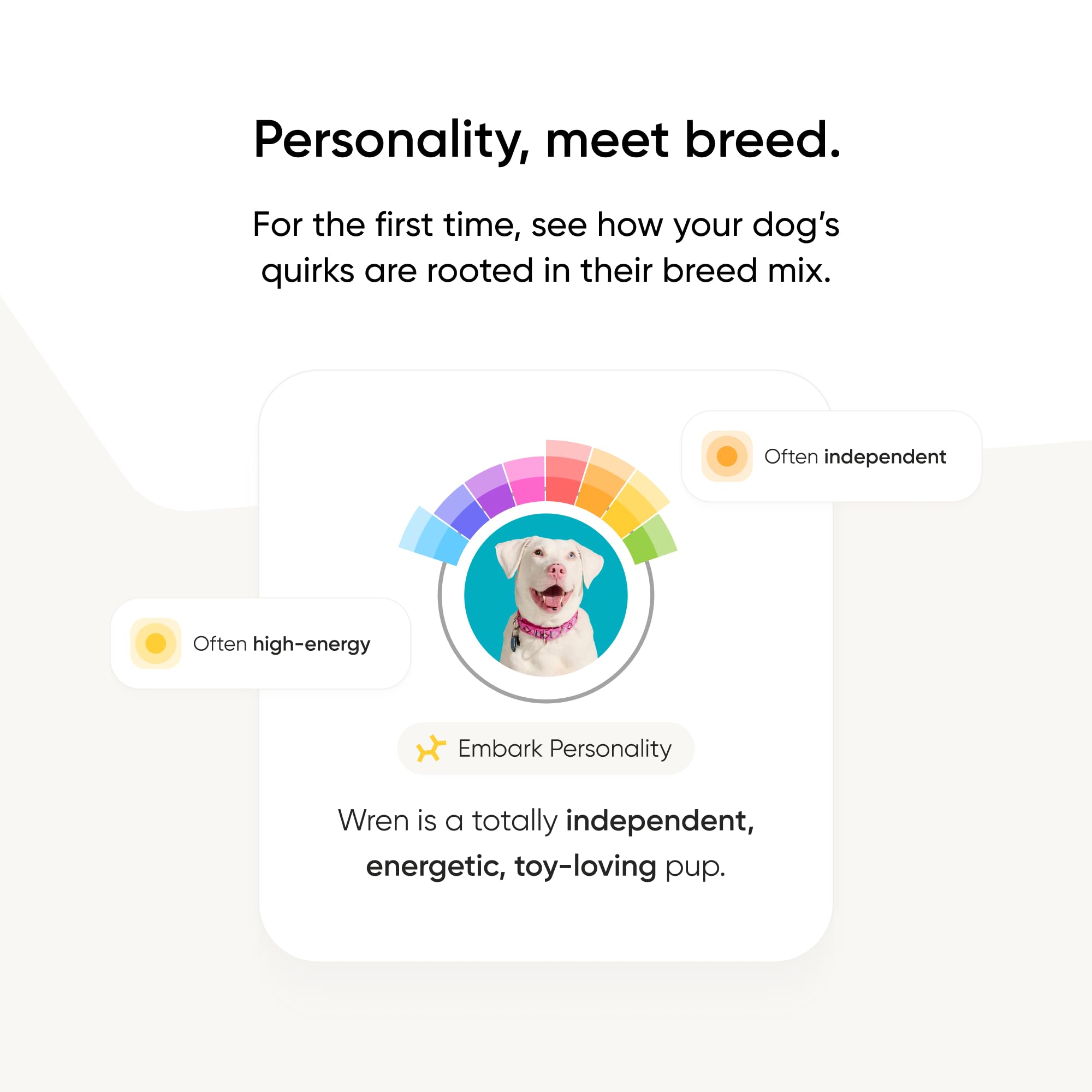 Embark service-expert-suivi-resultats: soutien expert pendant l'analyse des résultats