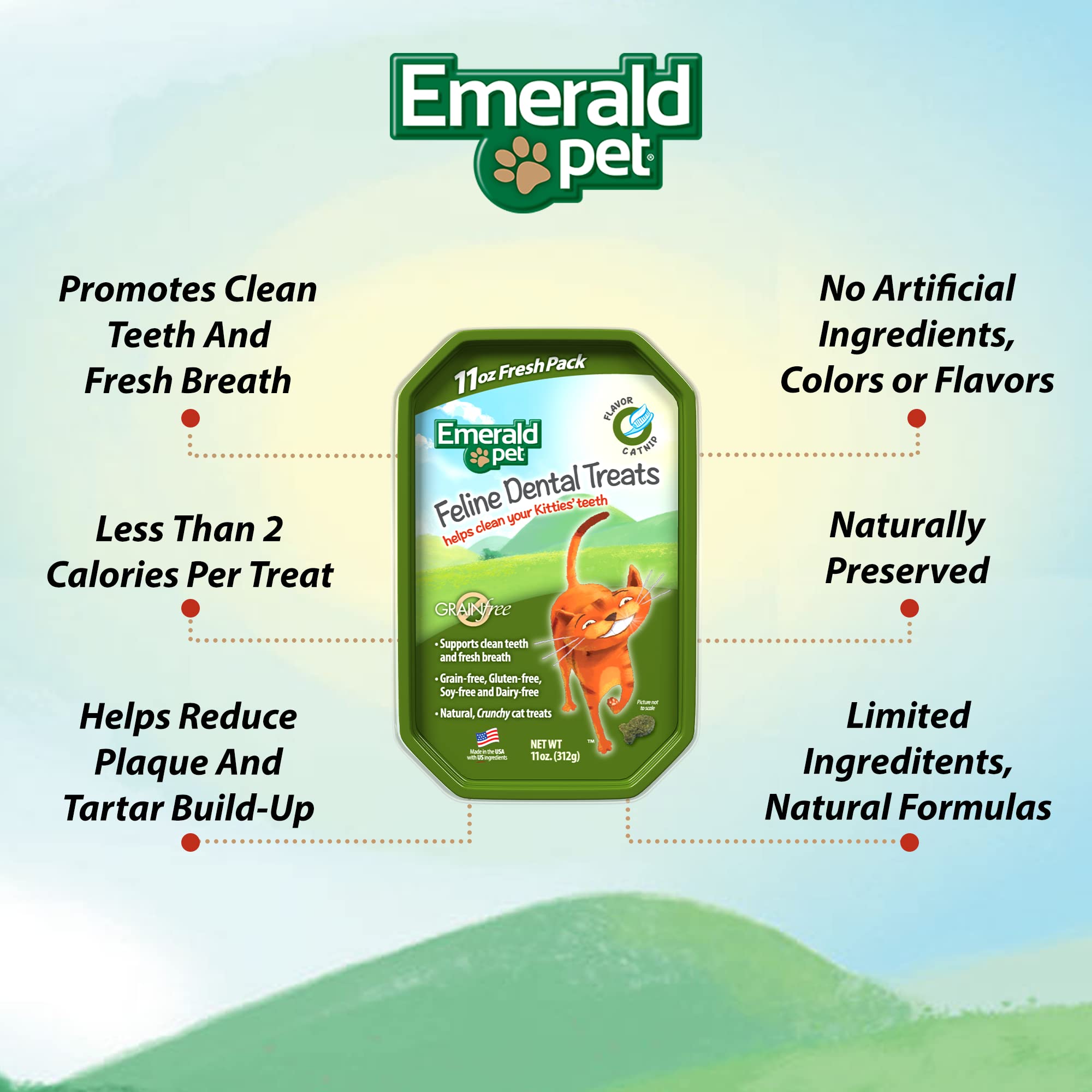 Bocal Emerald Pet de 11 oz pour friandises dentaires, pratique à servir.