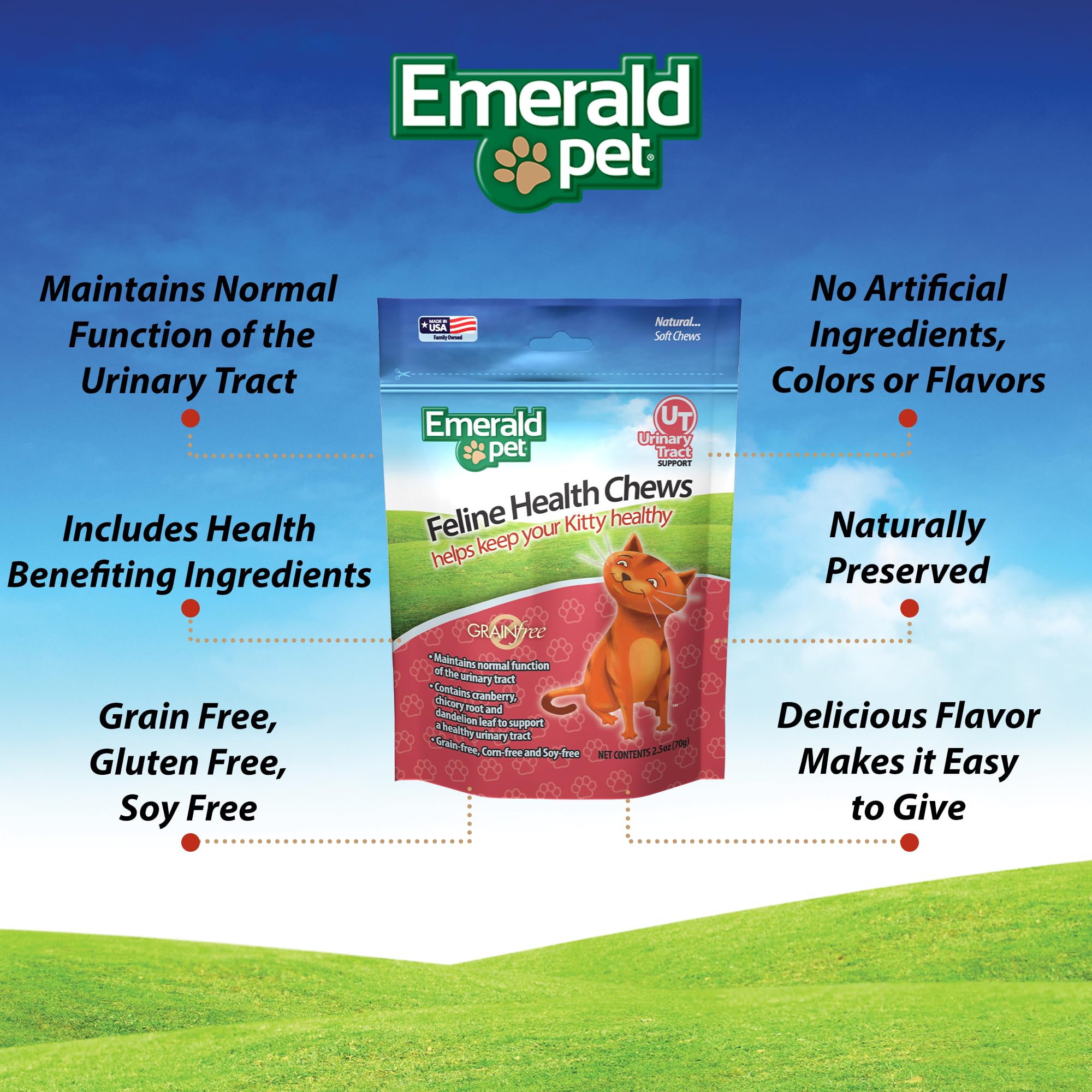 Emerald Pet Feline Health Chews UT Support avec ingrédient canneberge, environnement urinaire potentiellement plus sain.