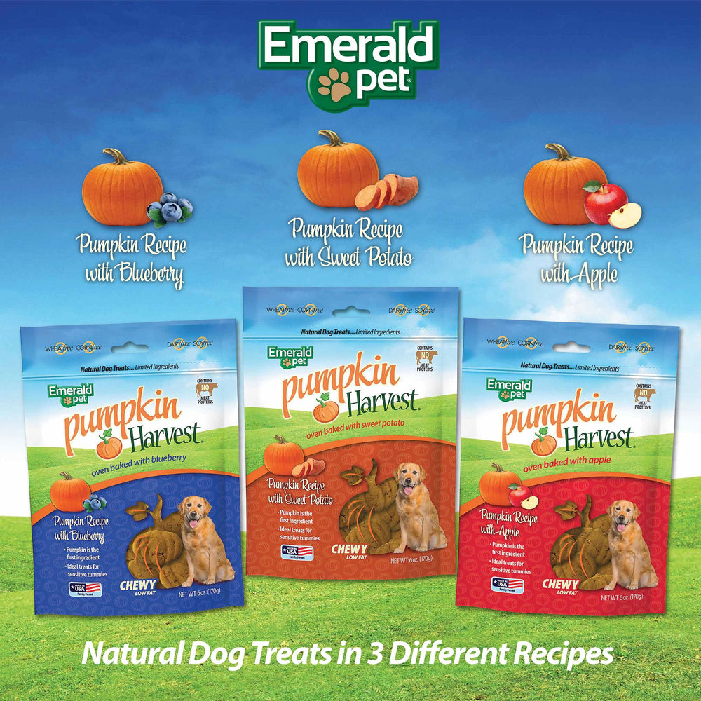 Emerald Pet friandises citrouille recolte – emballage de 170 g pratique pour l'usage quotidien