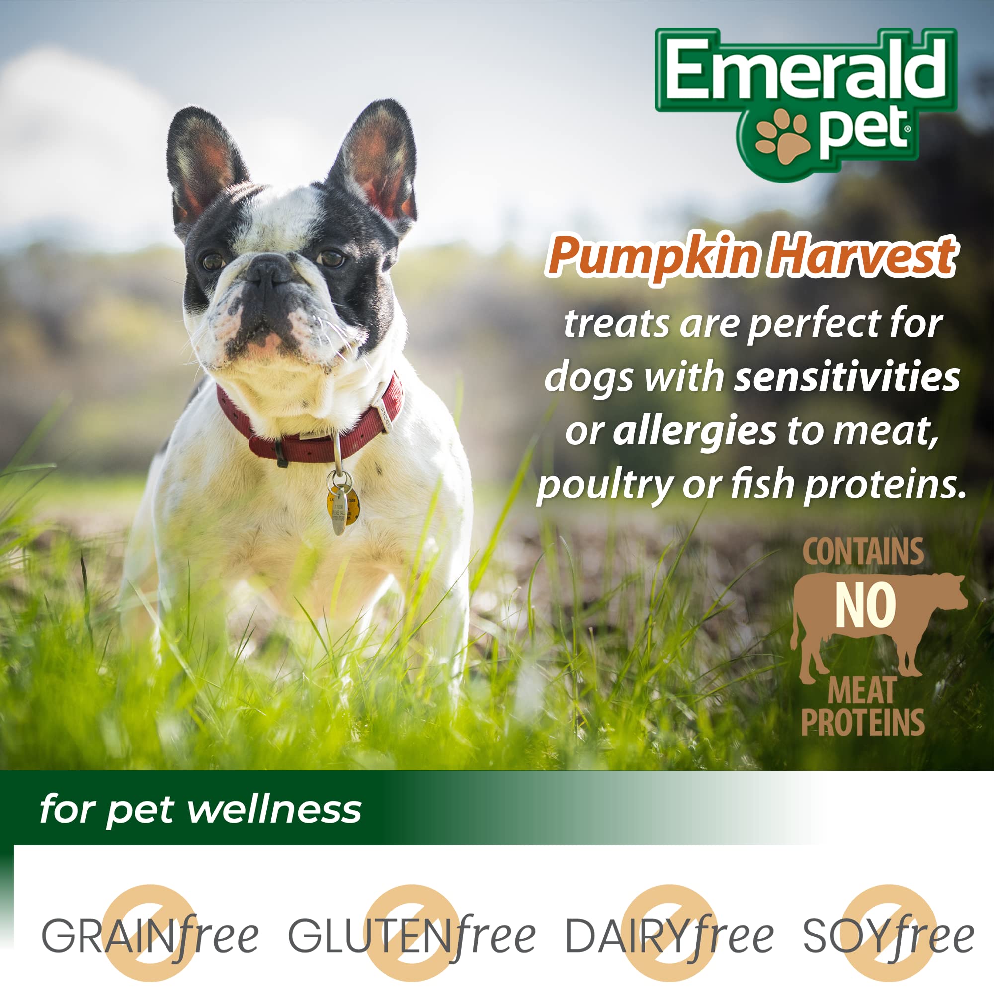Emerald Pet friandises citrouille recolte – sans viande ni volaille pour un choix sûr
