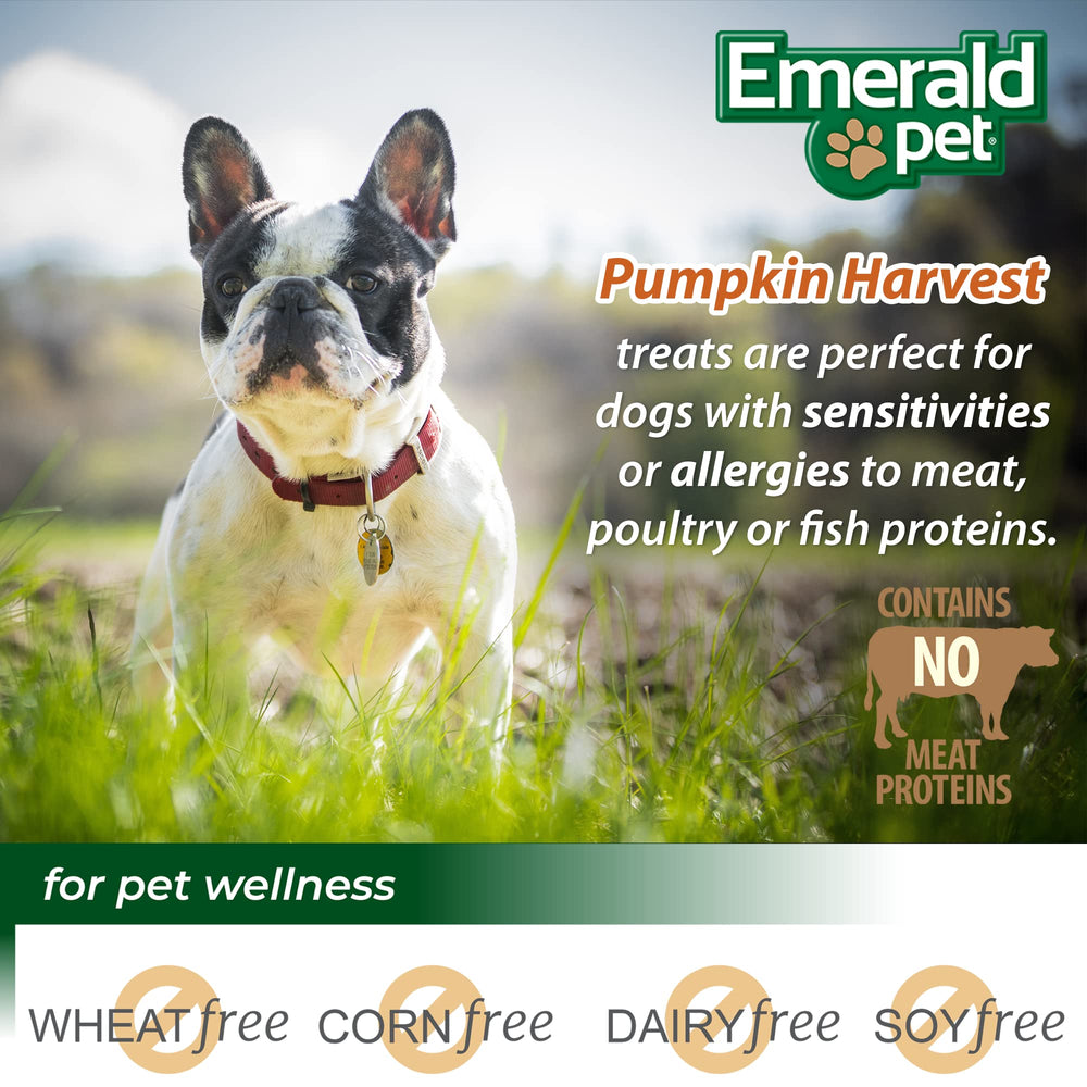 Emerald Pet Pumpkin Harvest Mini Trainers – fabriqué aux États-Unis, qualité et traçabilité.