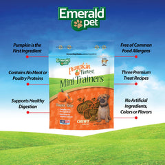 Emerald Pet Pumpkin Harvest Mini Trainers – sans allergènes, une option sûre pour chiens sensibles.