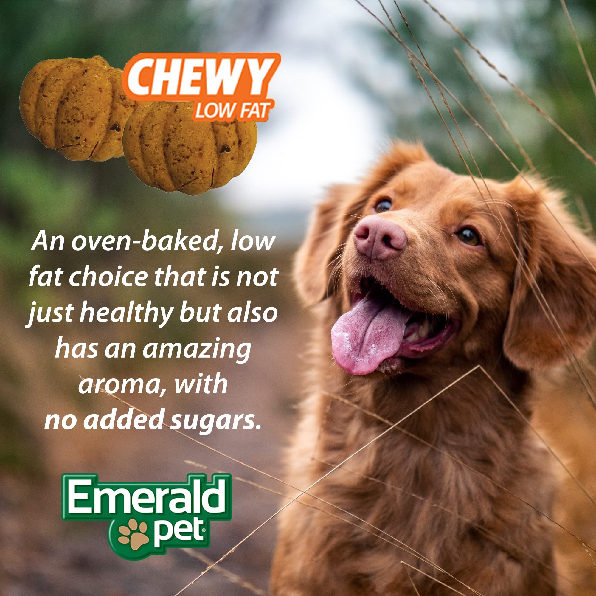 Utilisation quotidienne Emerald Pet Pumpkin Harvest, friandise sans allergènes pour chiens