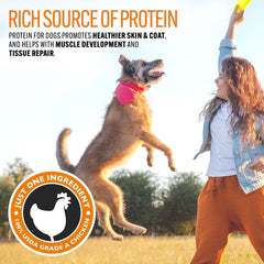 Chien heureux dégustant des friandises Emmy's Best EBPP après l'exercice.