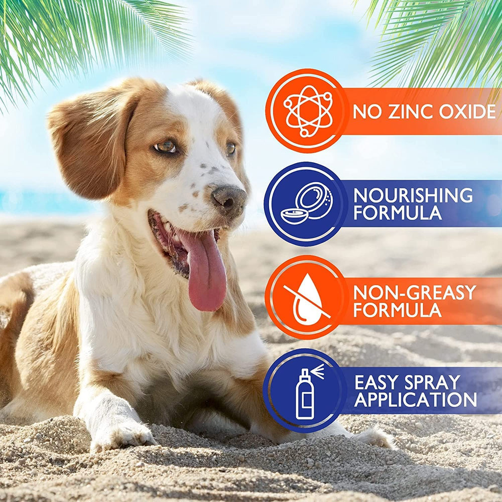Application rapide sur le dos du chien pour une protection durable