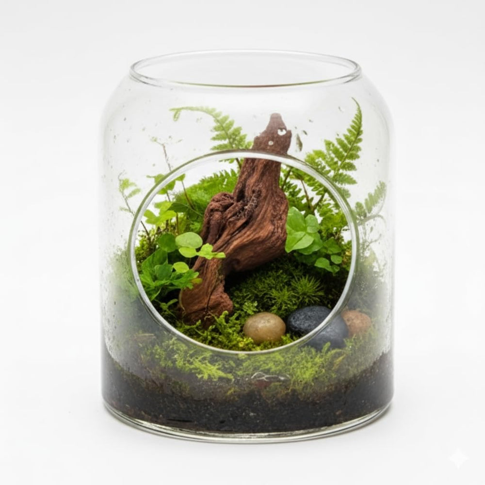 Emours bois flotté pour jardin et bonsai, usage polyvalent