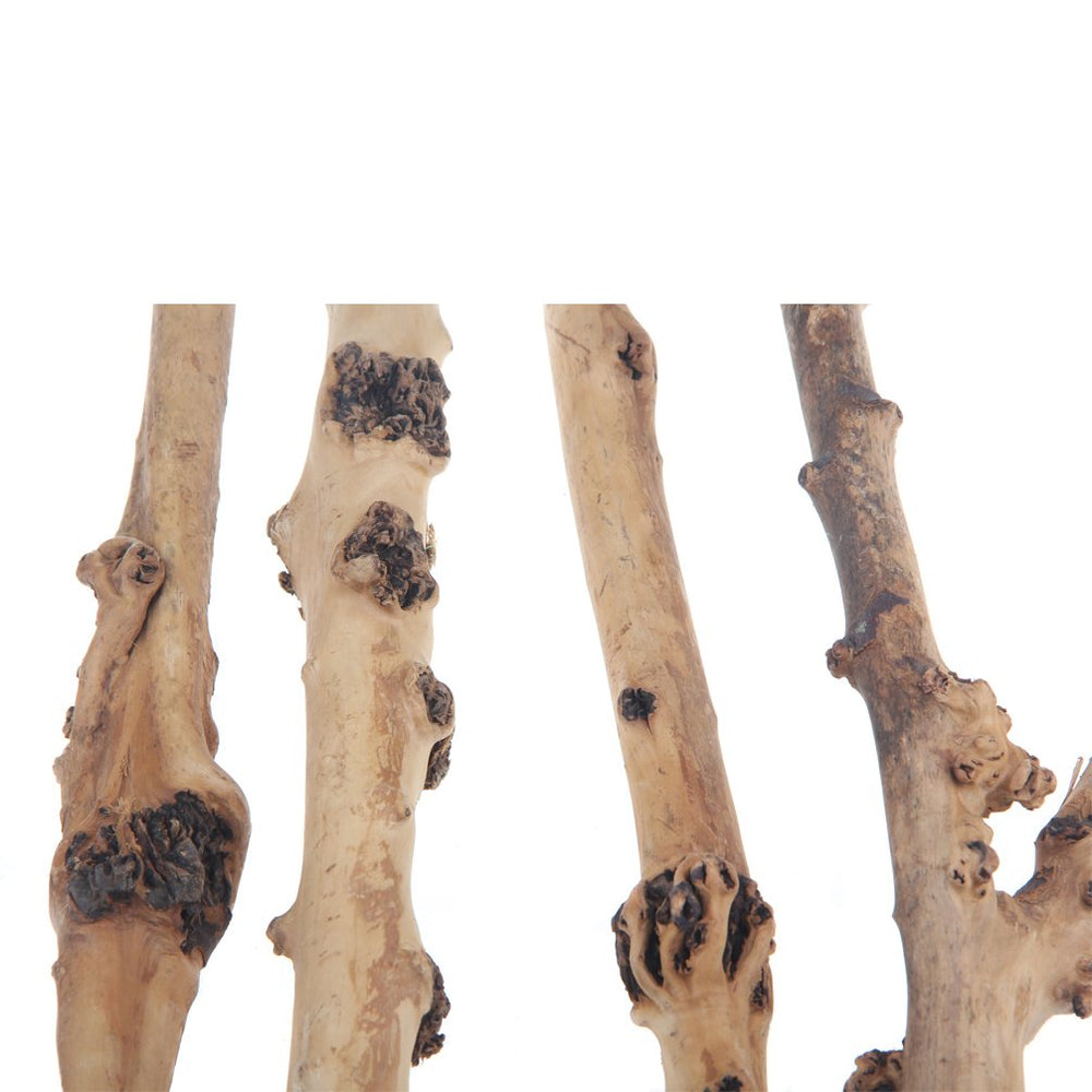 emours bois flotte naturel pour terrarium, décor réaliste et durable.