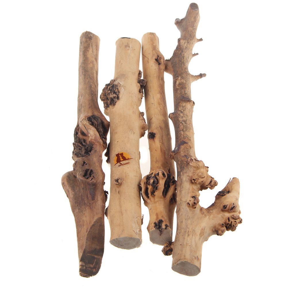 emours branche foret naturelle pour terrarium, facile à grimper et explorer.