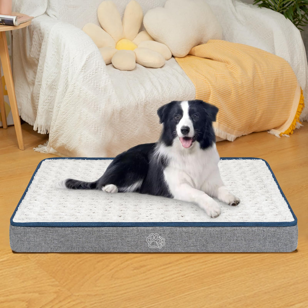 Chien comfortablement installé sur le lit EMPSIGN dans sa cage.