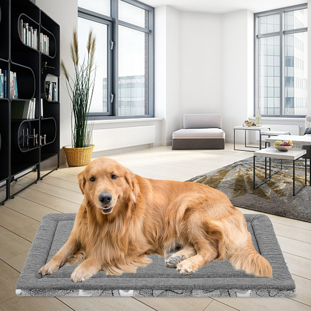 EMPSIGN Tapis-Chien XXL, lavage en machine et conservation de la forme.
