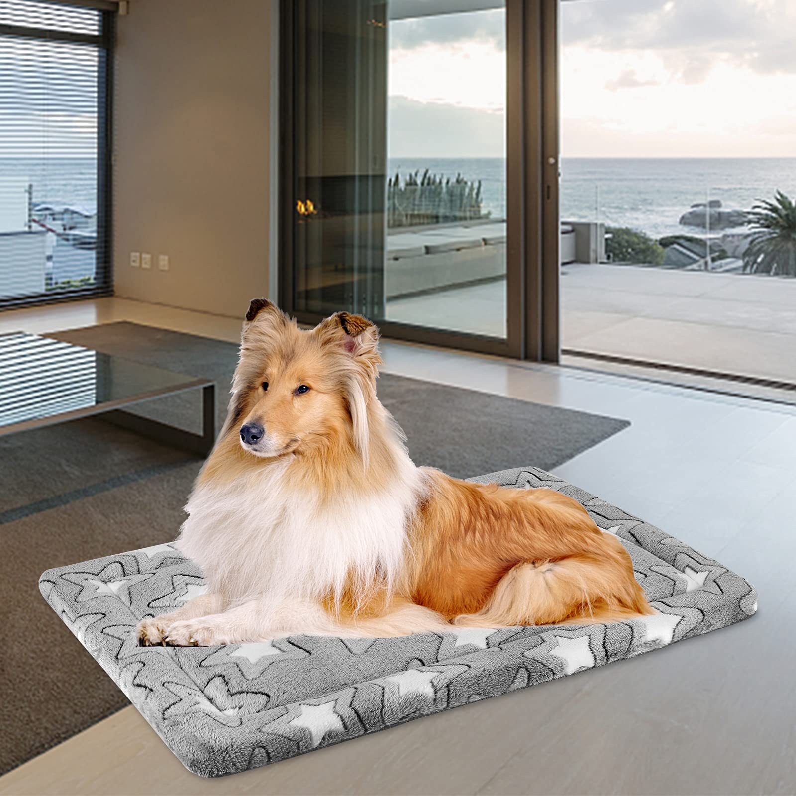 EMPSIGN Tapis-Chien XXL utilisé dans caisse, canapé et véhicule.