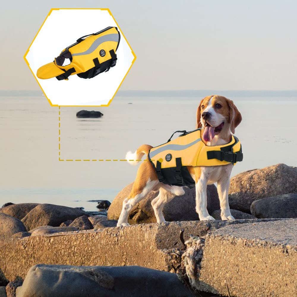 EMUST gilet chien: tailles XS à 2XL couvrant la plupart des morphologies