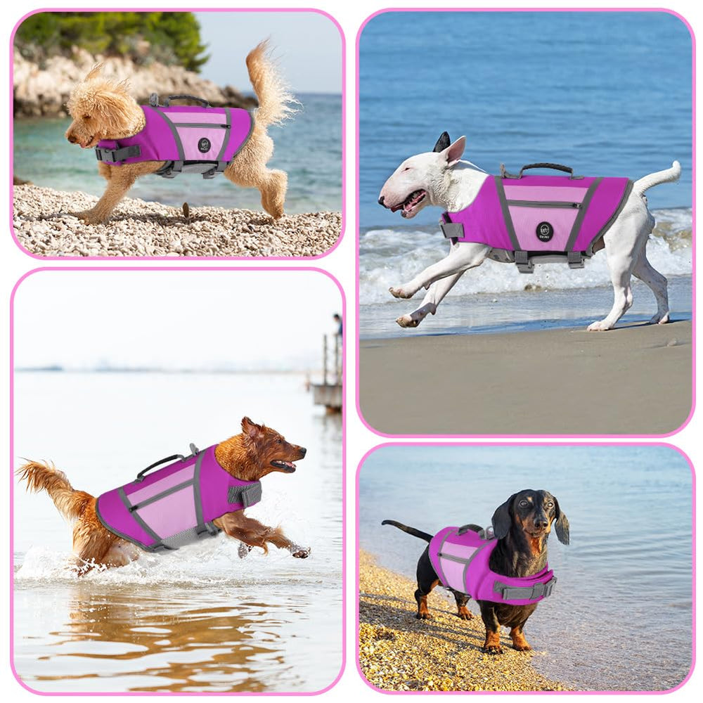 EMUST gilet flottaison chien – tailles XS à 2XL pour divers chiens