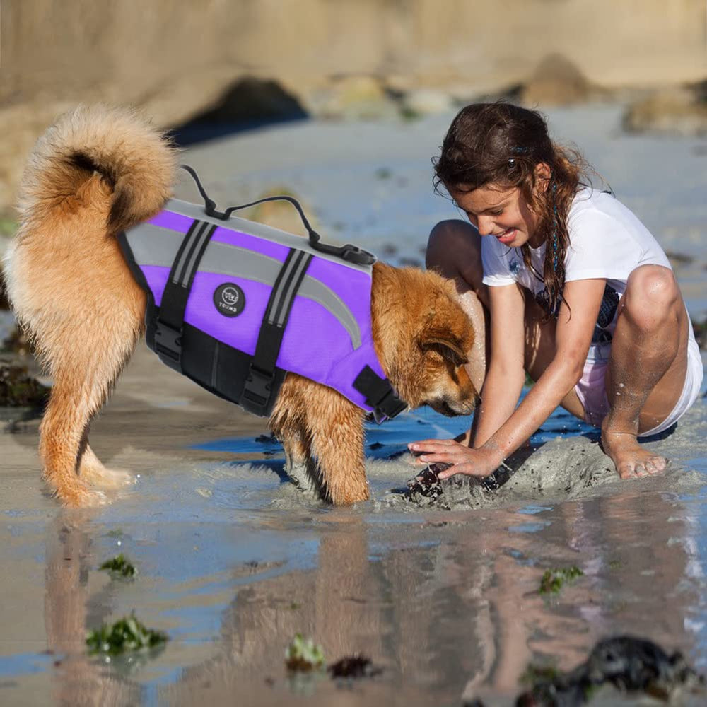 EMUST gilet sauvetage chien anneau-d, laisse robuste et sécurisée.