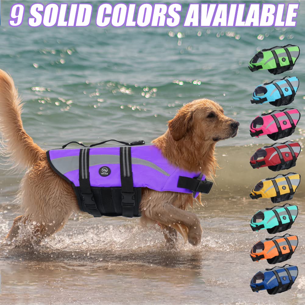 EMUST gilet sauvetage chien couleur-brillante, visibilité accrue au bord de l’eau.