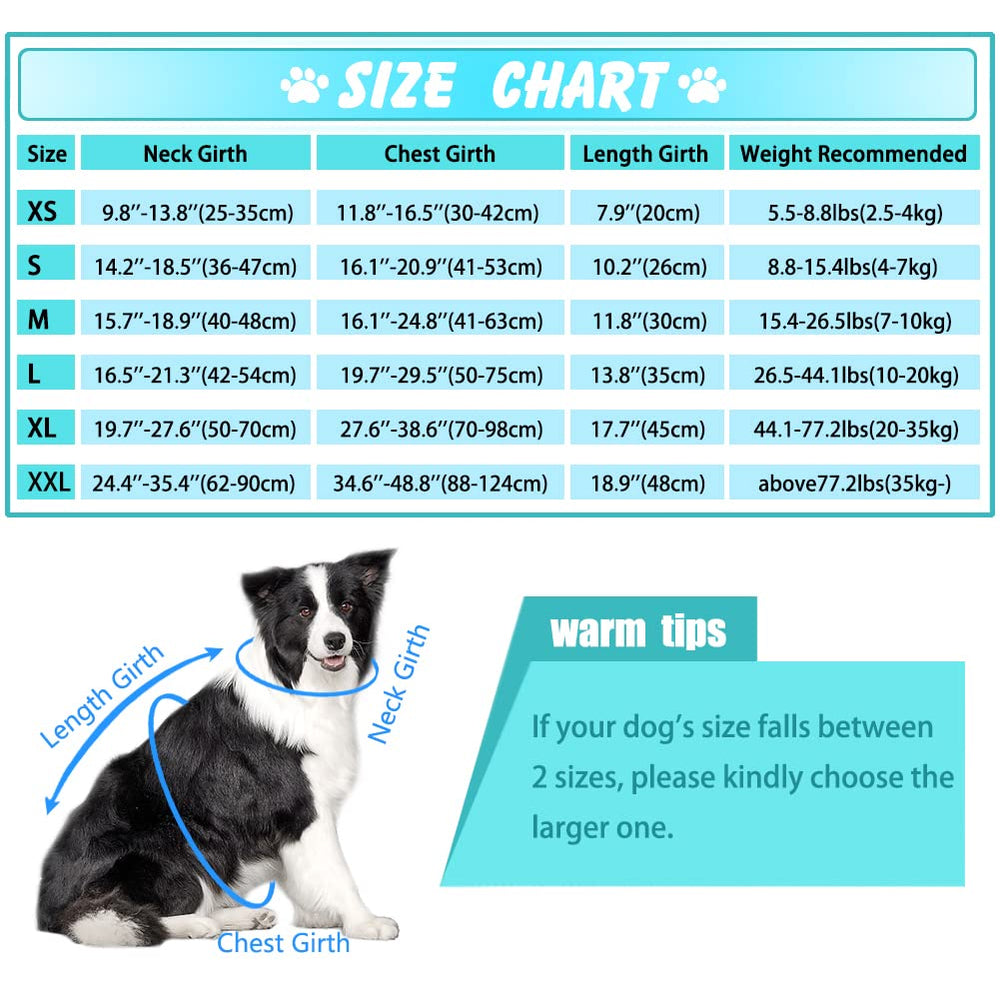 Sangles reglables et fermeture rapide EMUST gilet chien turquoise.