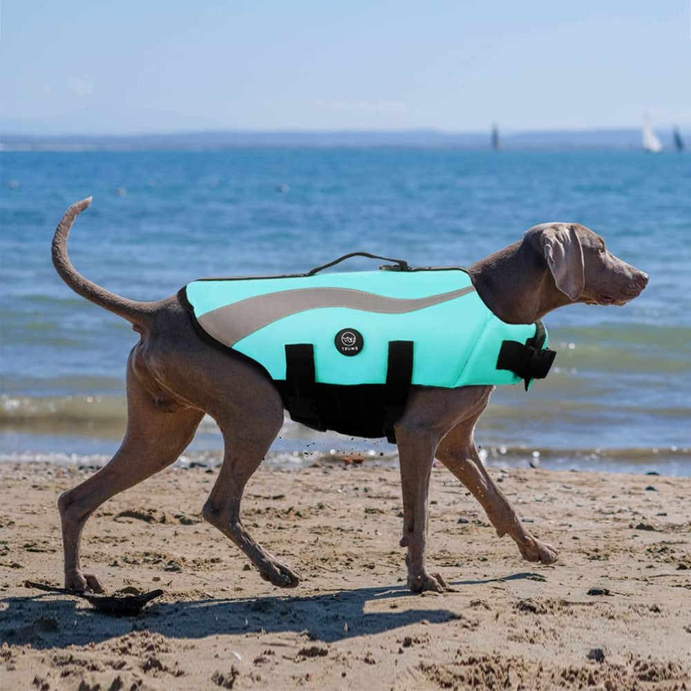 Zone sous ventre avec velcro EMUST gilet pour ajustement confortable.