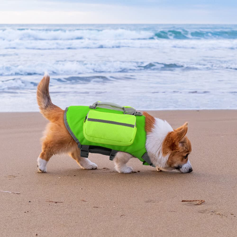 EMUST gilet-sauvetage-chien-utilisation-plein-air pour les sorties plage et lac.