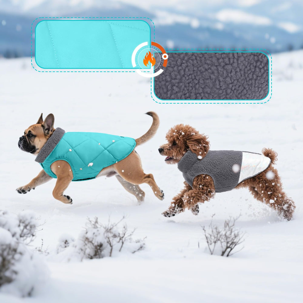 EMUST guide des tailles petit chien, assure un ajustement sûr et confortable.