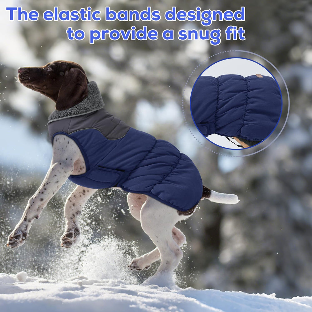 EMUST manteau chien bandes réfléchissantes visibilité nocturne améliorée