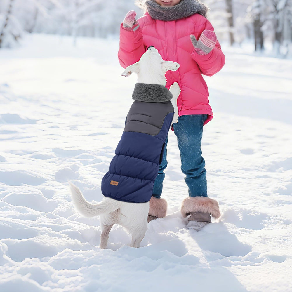 EMUST manteau chien tailles S à XXXL convient aux grands chiens