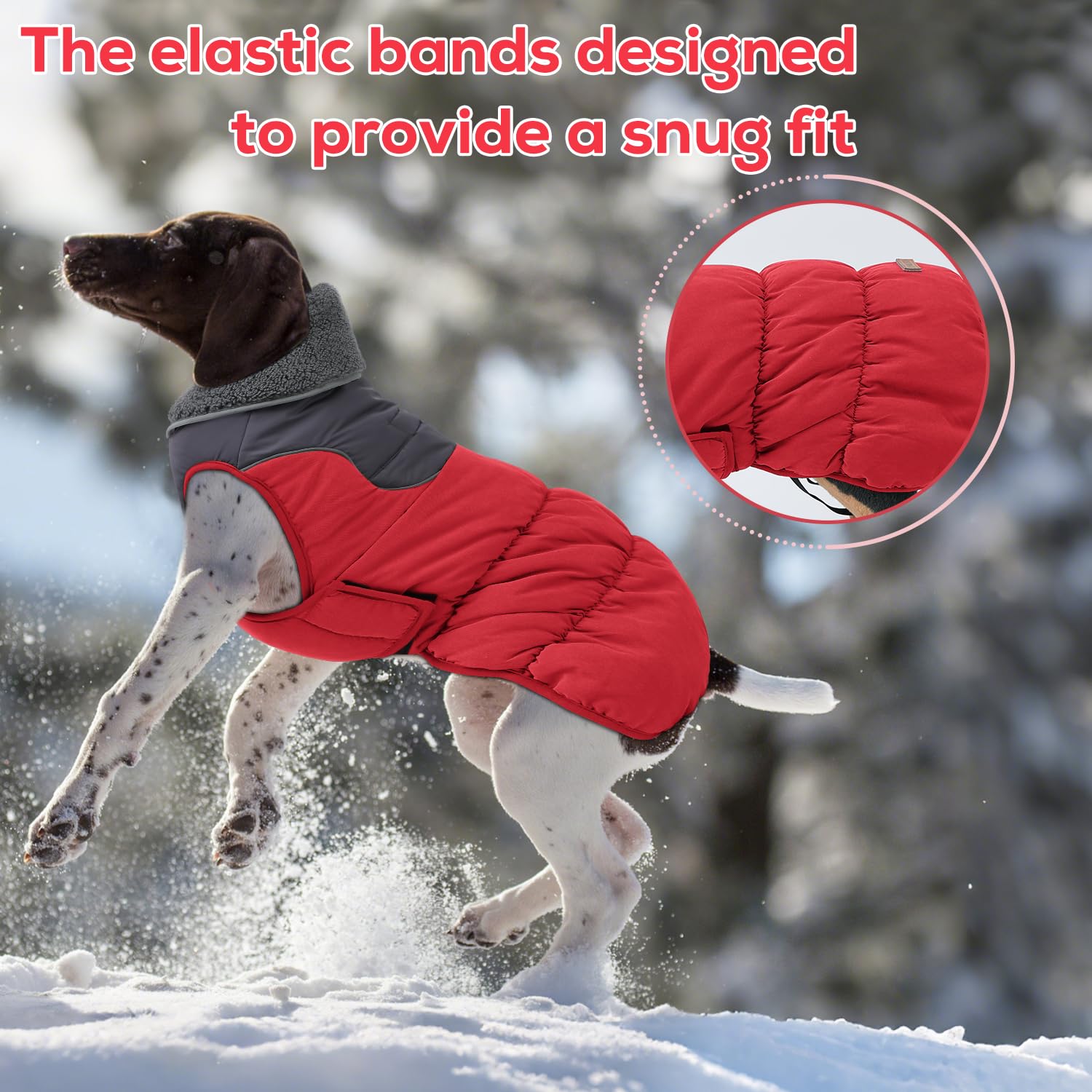 EMUST manteau chien hiver imperméable et coupe-vent pour jours de neige.