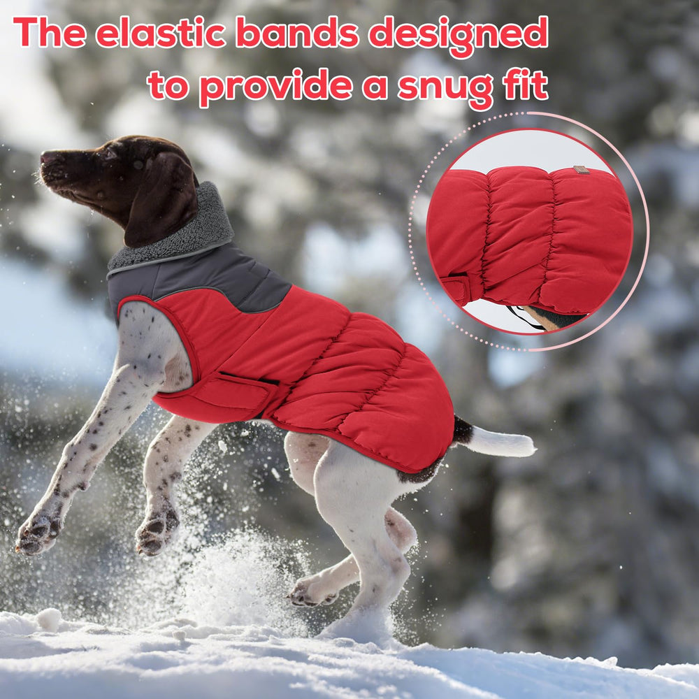 EMUST manteau chien hiver imperméable et coupe-vent pour jours de neige.