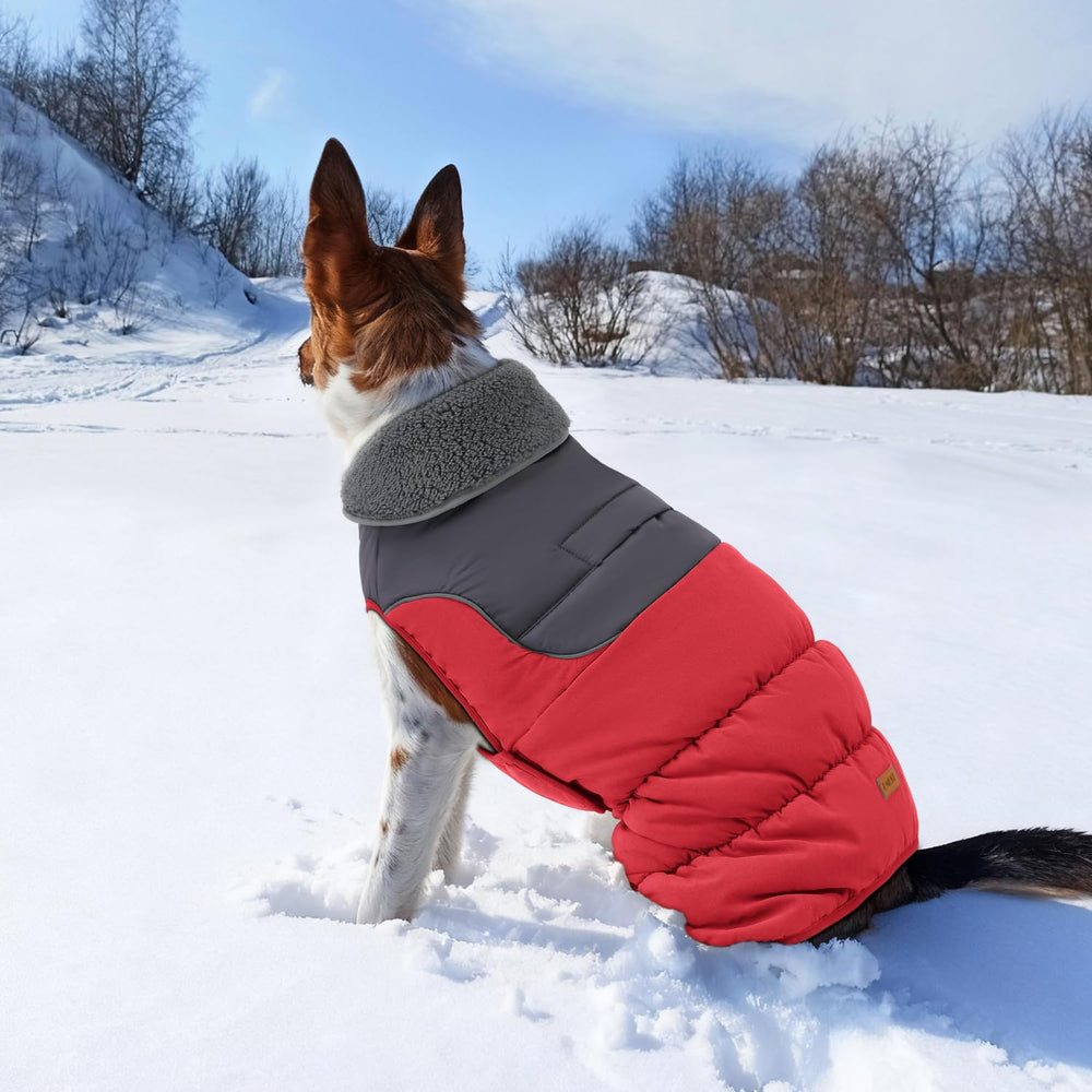 EMUST manteau hiver chien lavable en machine pour entretien facile.