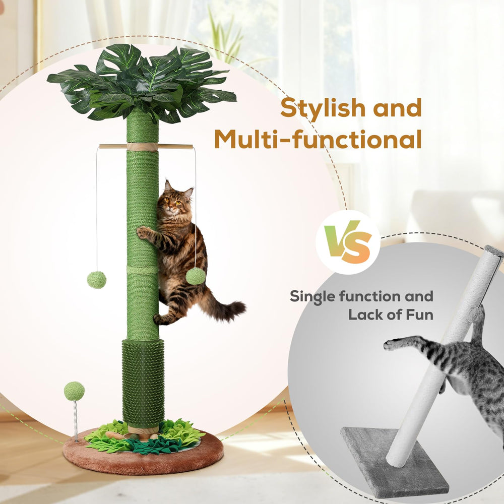 EMUST tapis-snuffle amovible stimule odorat et activité des chats.