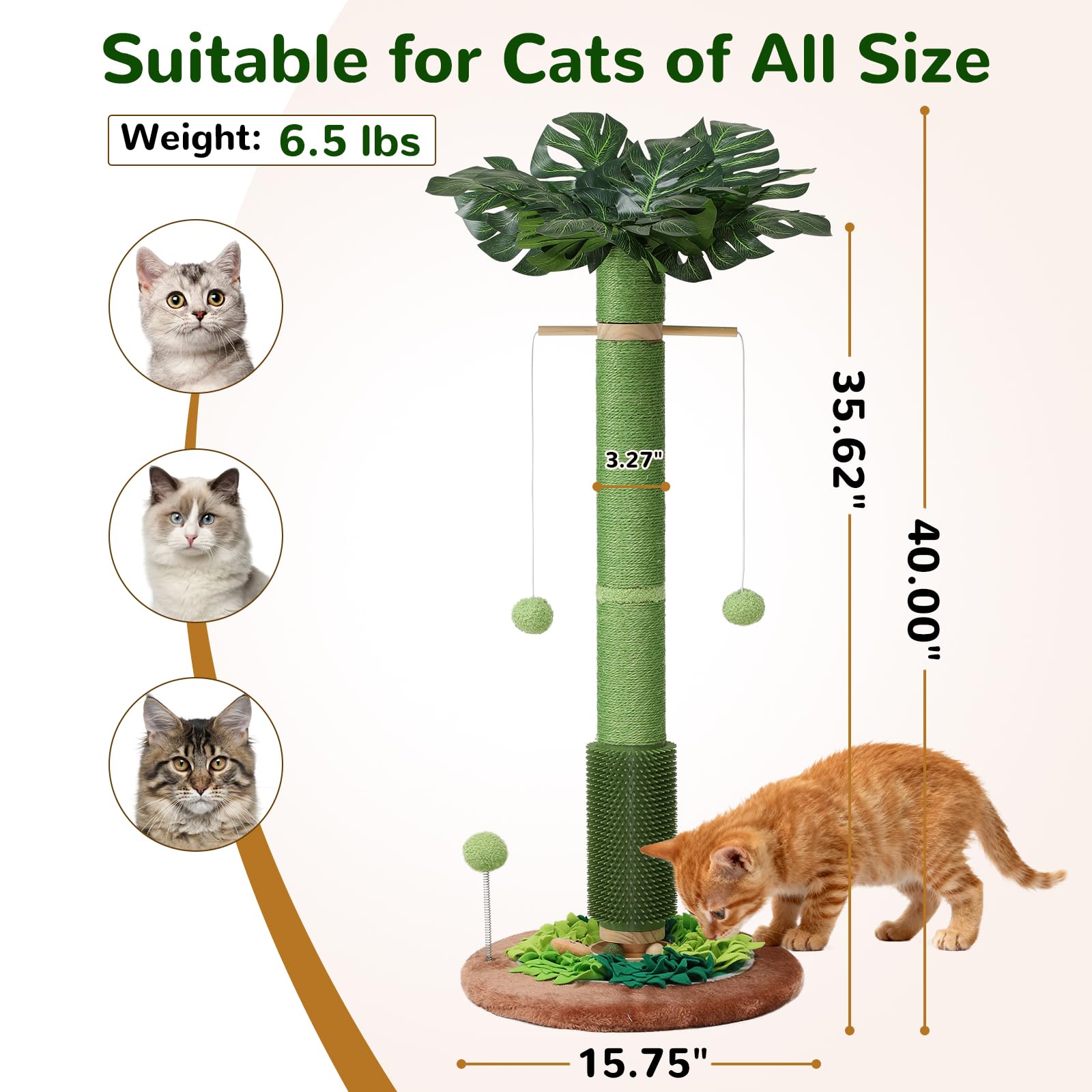EMUST pistes bois et billes menthe pour exploration et jeu des chats.