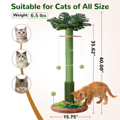 EMUST pistes bois et billes menthe pour exploration et jeu des chats.