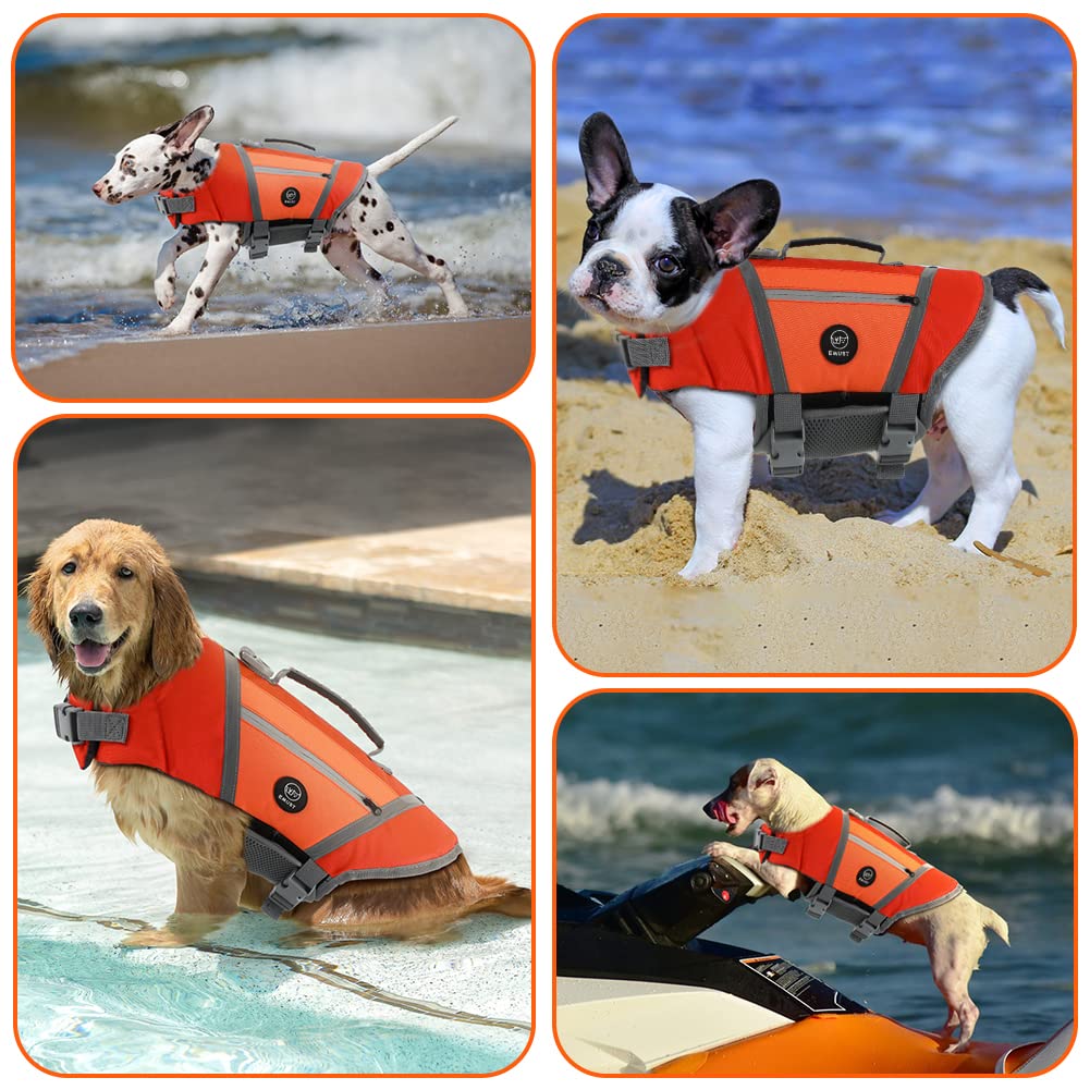 Guide des tailles EMUST pour choisir le gilet adapté à votre chien