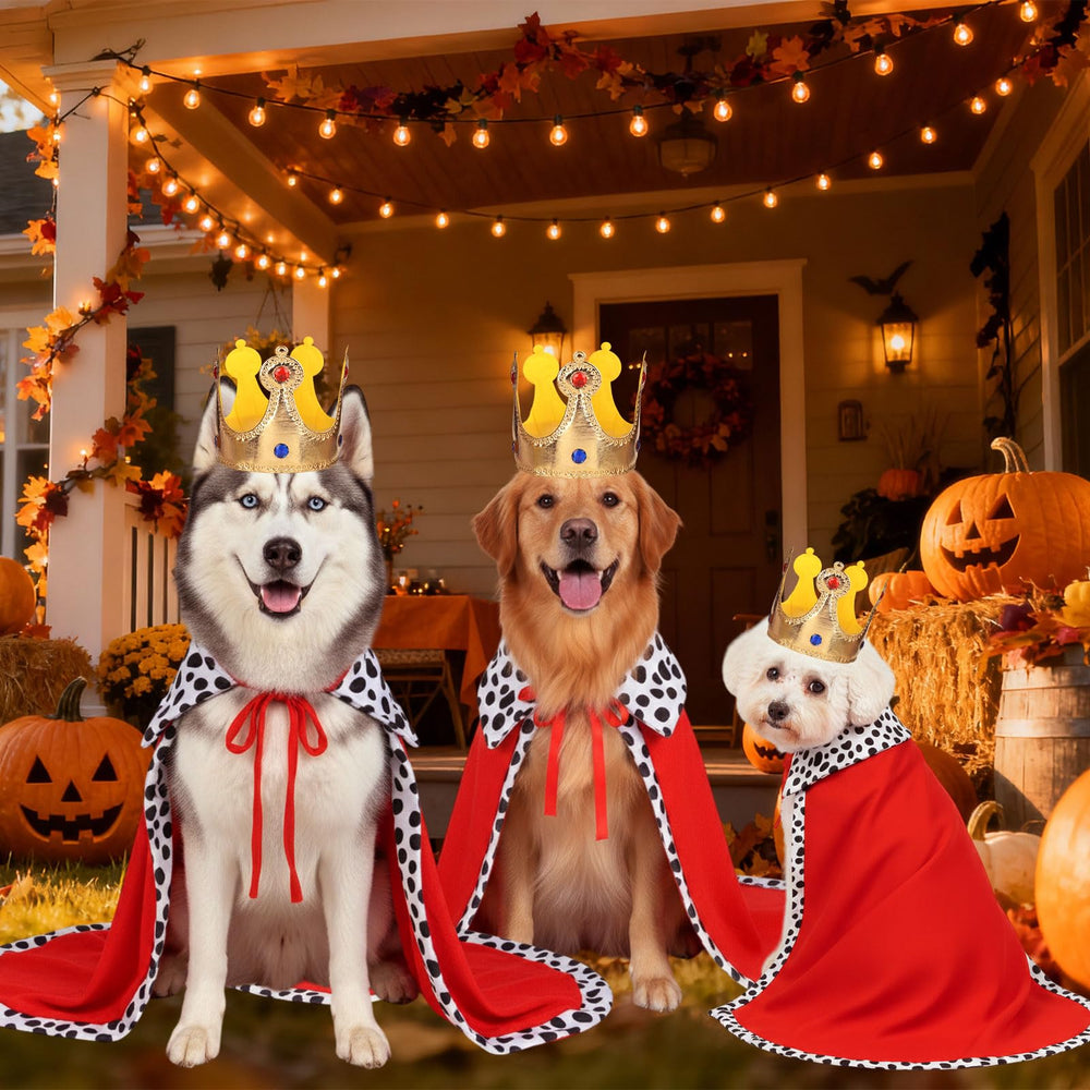 EMUTOL déguisement chien roi parfait pour Halloween