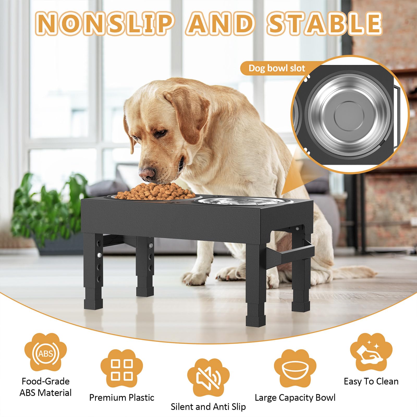 Enayplon: hauteurs reglables quatre niveaux pour chaque chien.