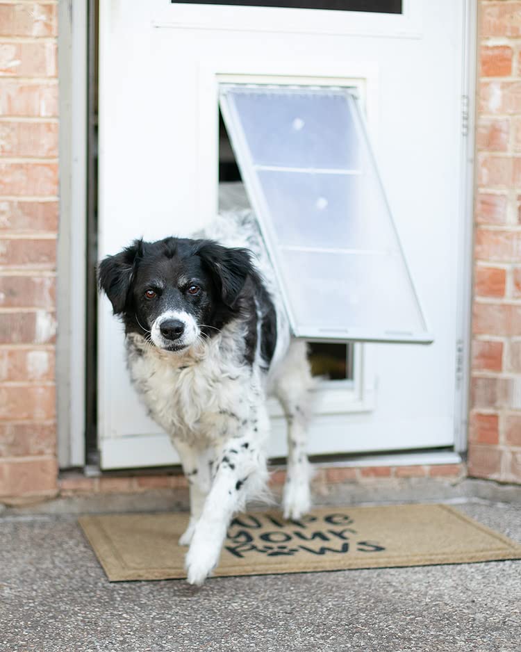 Endura Flap aimant-triple-reglable: réglage pour entraîner les animaux timides.