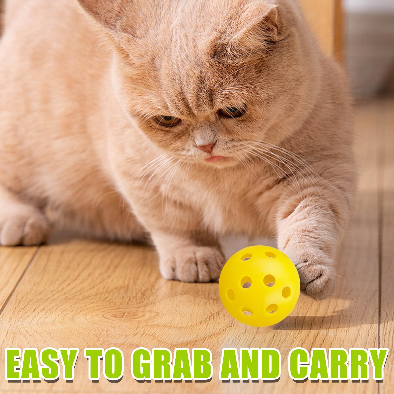 Utilisation intérieure ENERKEEN, parfaites pour divertir votre chat à la maison.