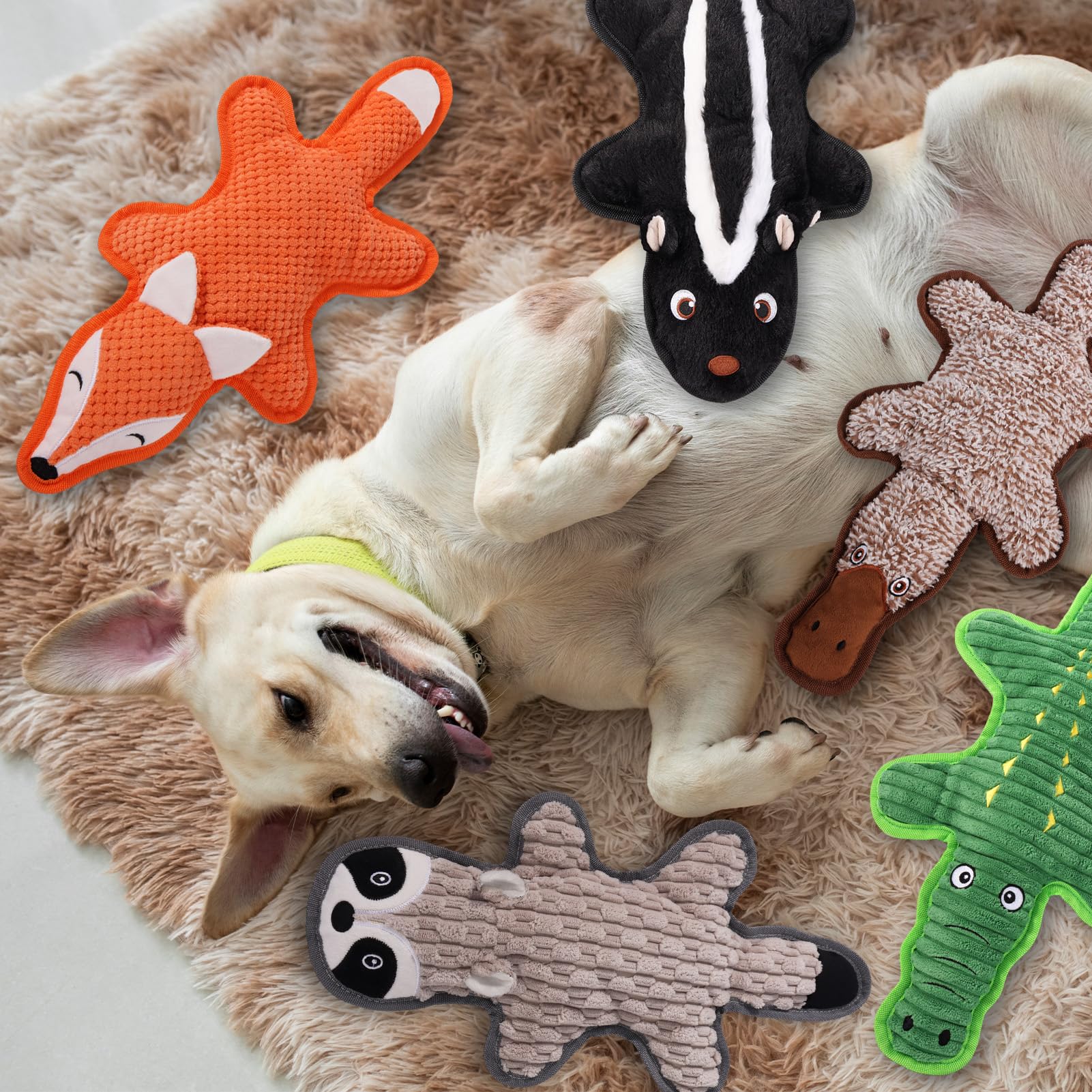 Eneston pack-jouets pour chien, vue d’ensemble polyvalente.