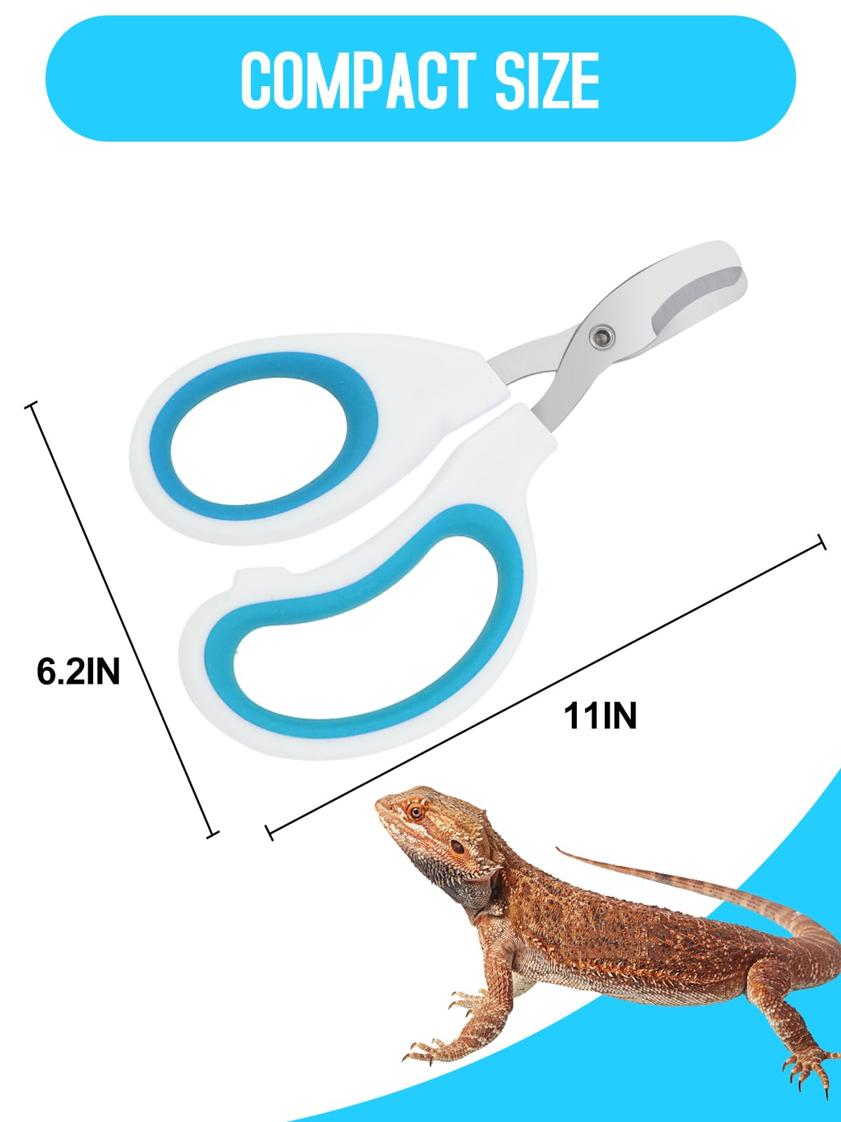 Engorgio coupe-ongles dragon barbu rapide, coupe efficace et rapide.