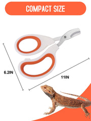 Engorgio Dragon Barbu, résultat rapide et efficace lors de la coupe.