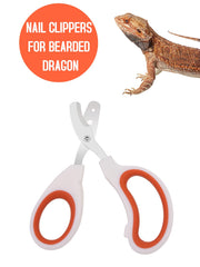 Engorgio coupe-ongles pour reptile, design ergonomique pour une coupe sans tension.