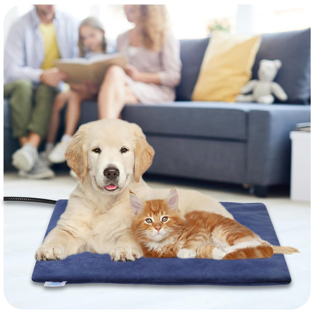 Minuteur et mode Toujours allumé ENJOY PET pour contrôle pratique