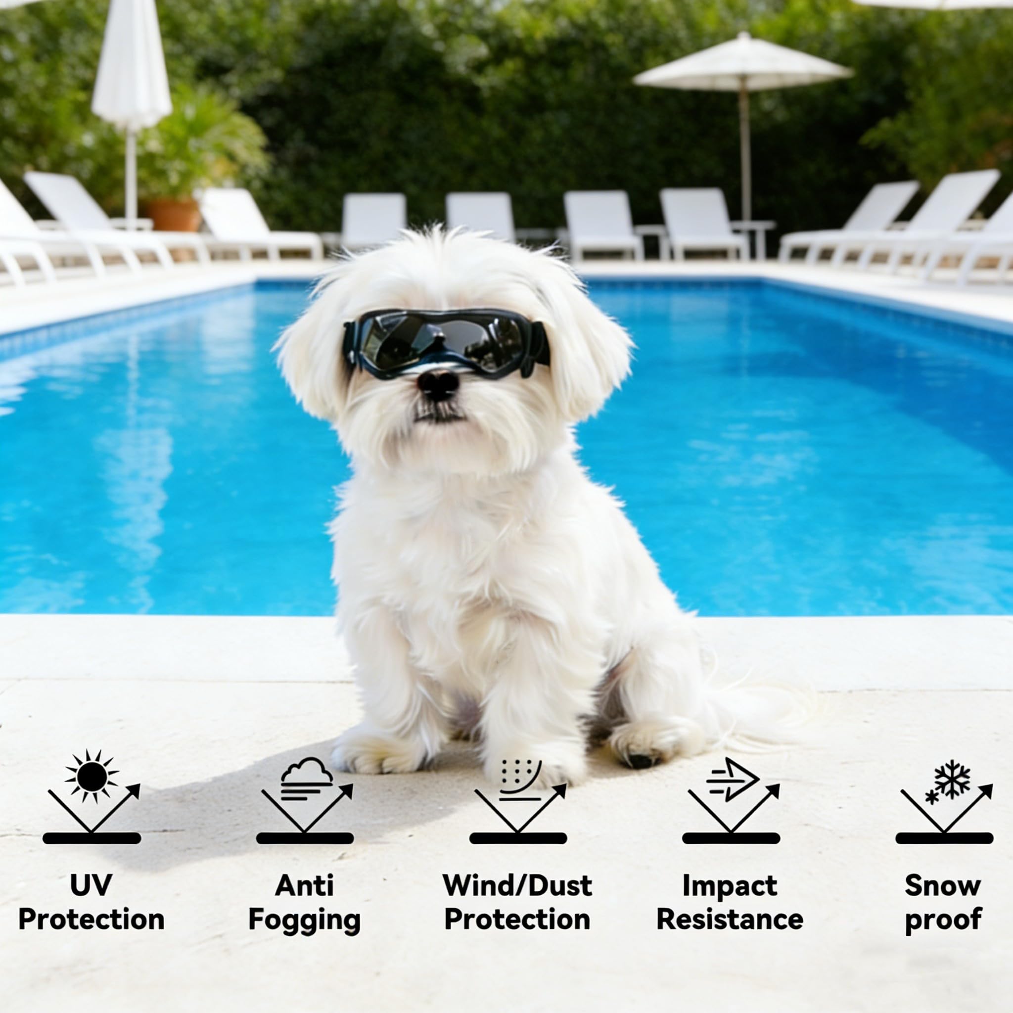 Enjoying lunettes chien petit anti brouillard pour vision claire