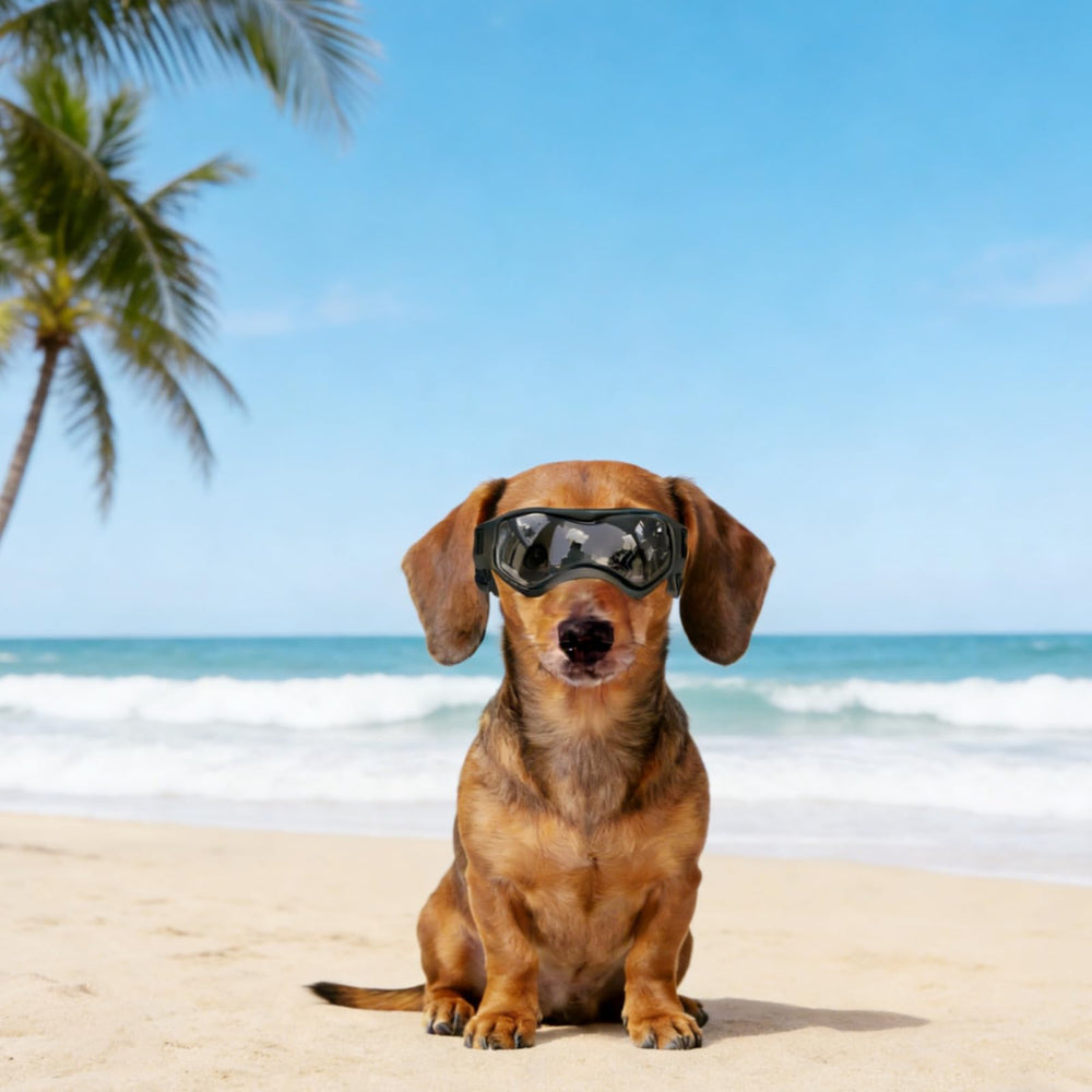 Enjoying lunettes chien petit design leger et portable
